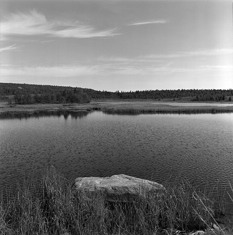 81-065-06203.jpg