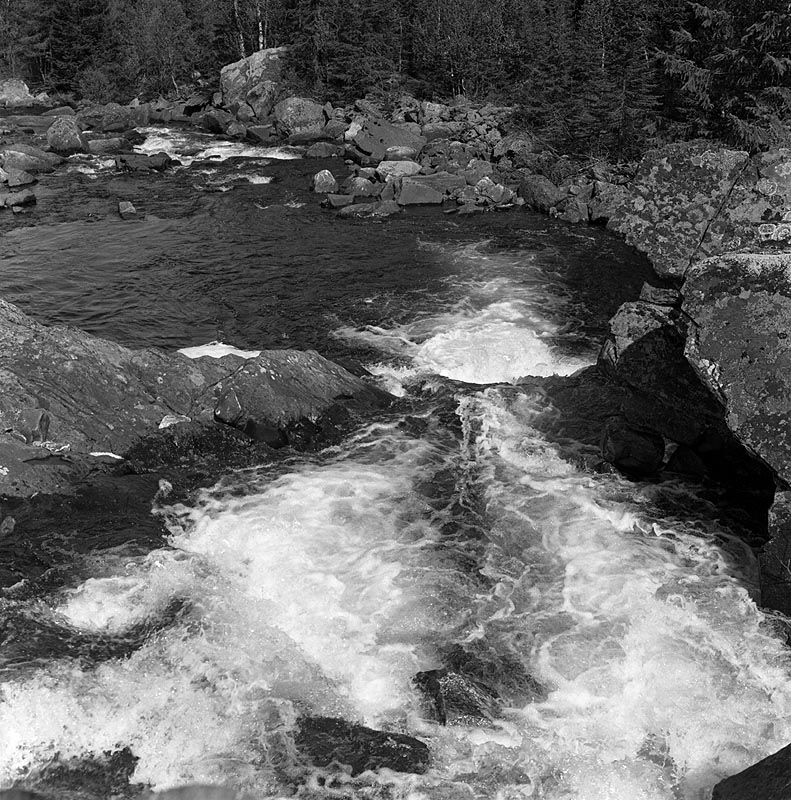 83-009-01-061.jpg