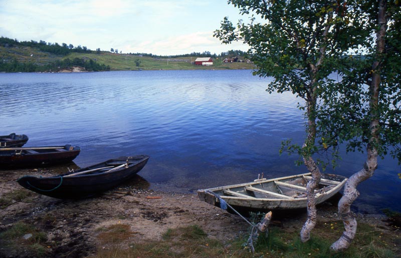 7935-011-800.jpg