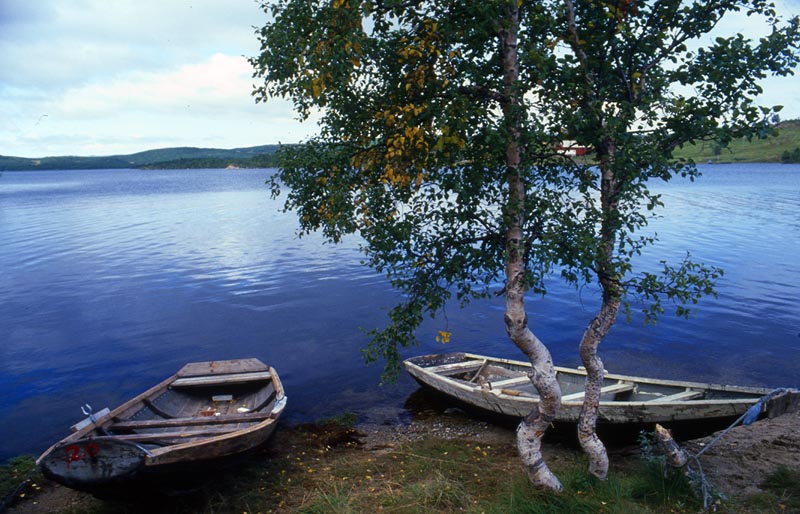 7935-012-800.jpg