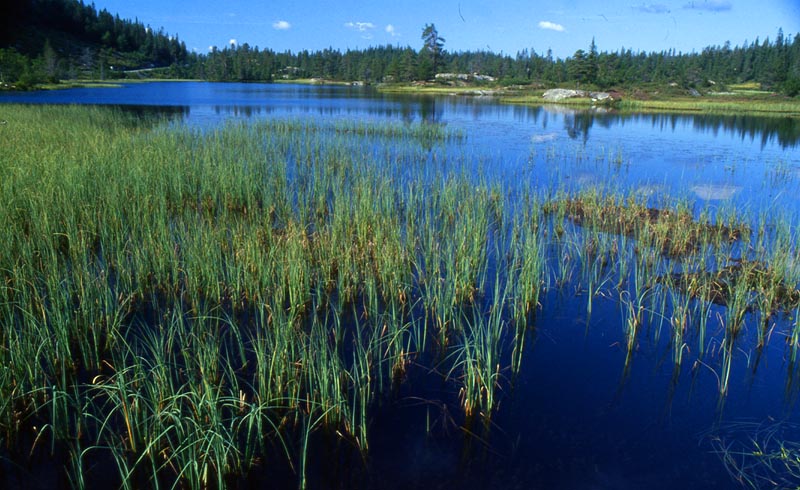 7935-015-800.jpg